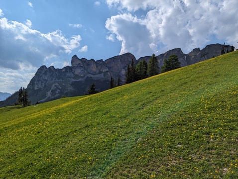 Dalfazer Roßkopf from the medow near huts
