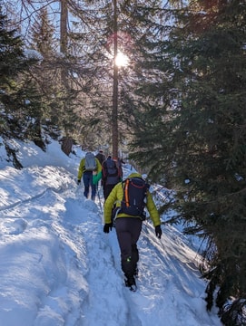 Hikers walking through the forest covered in snow