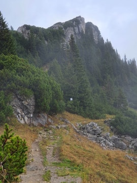 Path through the bushes and forest with the cliff in the background somewhere near Latschenkopf