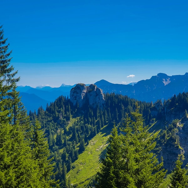 Laber & Ettaler Manndl