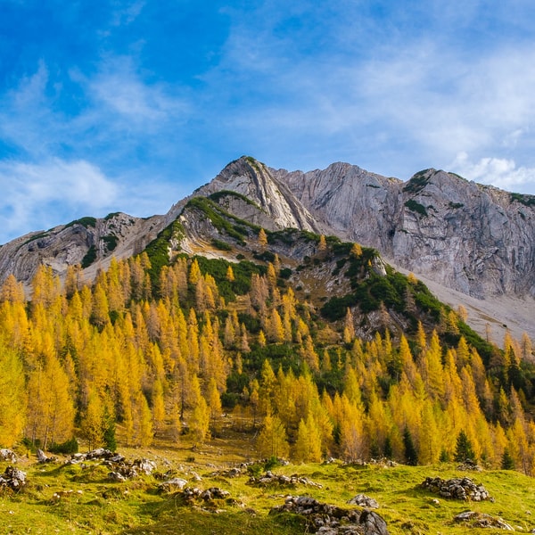 Seekarspitze & Seebergspitze